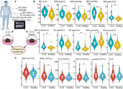 Gut Microbiome Alterations in Patients With Carotid Atherosclerosis